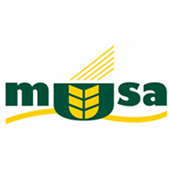 musa